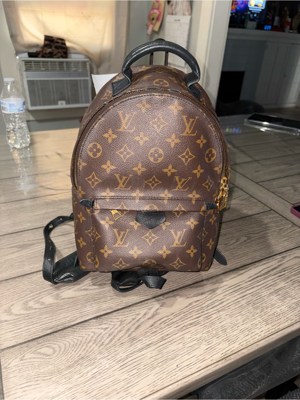 Louis Vuitton Palm Springs Backpack - Picture 2 of 13